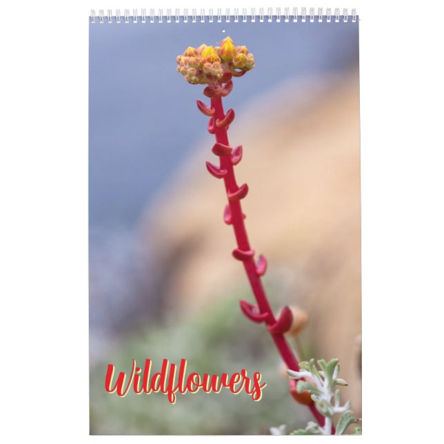 Calendario Flores silvestres (Tapa)