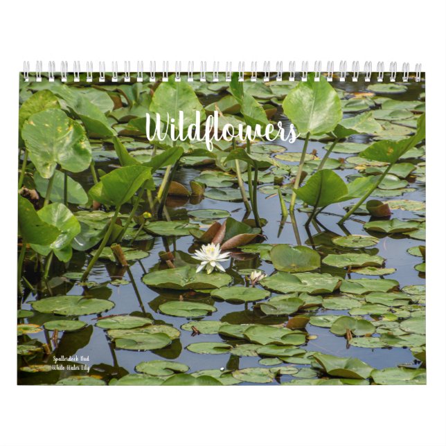 Calendario Flores silvestres (Tapa)