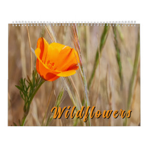 Calendario Flores Silvestres Coloridas 