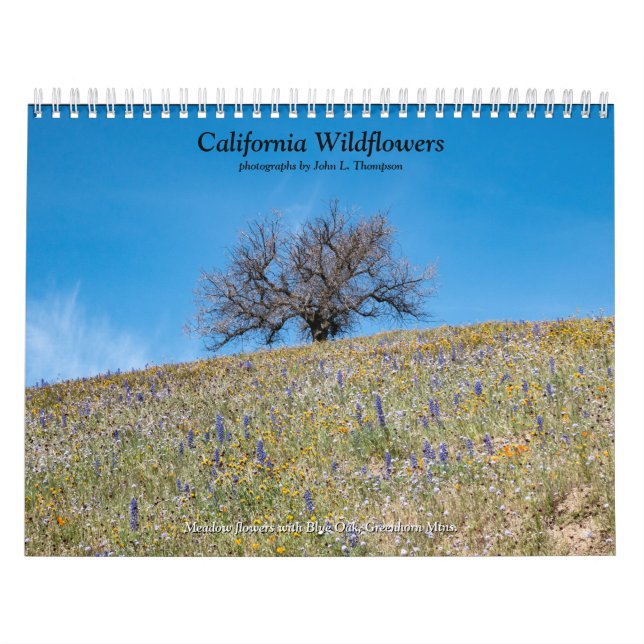 Calendario Flores silvestres de California 2020 (Tapa)