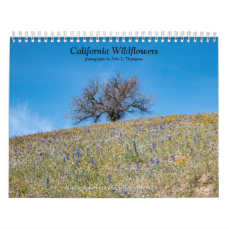 Calendario Flores silvestres de California 2020