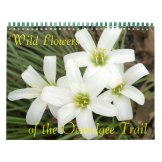 Calendario Flores silvestres, de la ruta del ocmulgeo