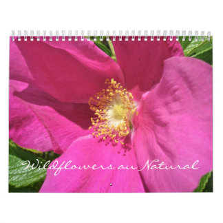 Calendario - Flores silvestres en la naturaleza