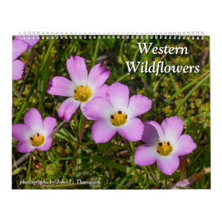 Calendario Flores silvestres occidentales 2025