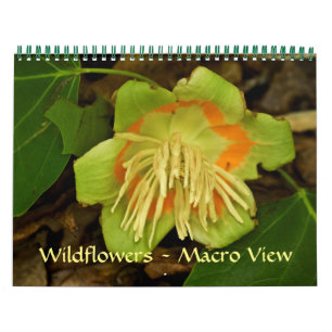Calendario - Flores silvestres - Vista Macro