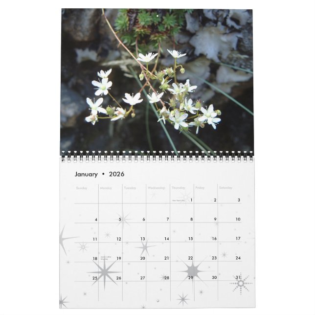 Calendario Flores, un año de color (Jan 2026)