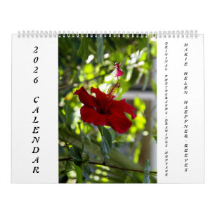 CALENDARIO FLORES Y HADAS DE LAS SOMBRAS 2026