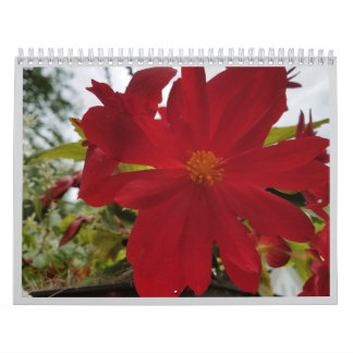 Calendario Flower Are It 2026 Calendar