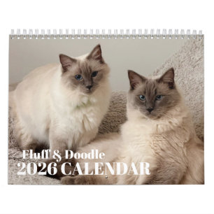 Calendario Fluff & Doodle 2026