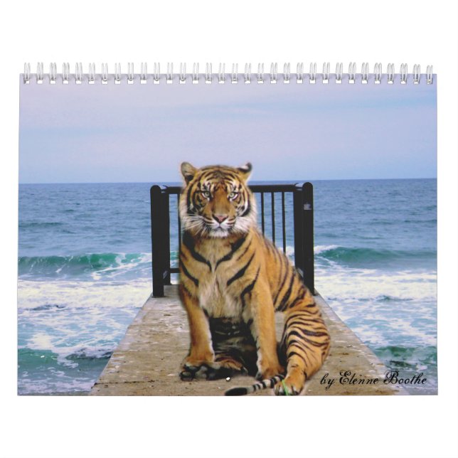 Calendario Focus & Strength_2010 Calendar-by Elenne Boothe (Tapa)