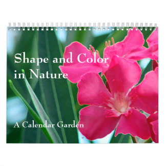 Calendario Forma y color en la naturaleza