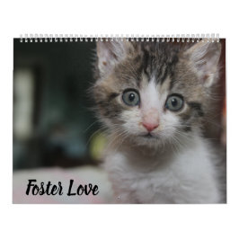 CALENDARIO FOSTER LOVE