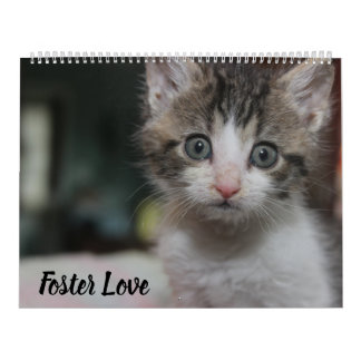 CALENDARIO FOSTER LOVE