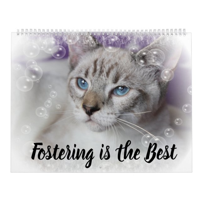 CALENDARIO FOSTERING KITTENS IS THE BEST (Tapa)