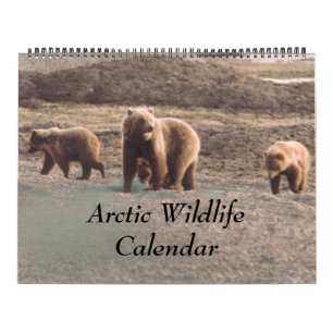 Calendario Foto ártica con clase de Alaska de la fauna