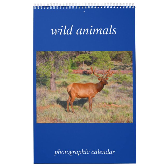 Calendario foto de animal salvaje (Tapa)