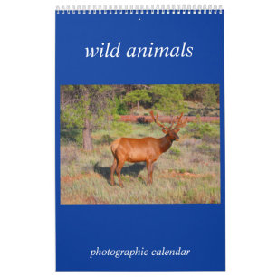 Calendario foto de animal salvaje