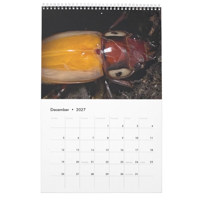 Calendario Foto de artista (Dec 2027)