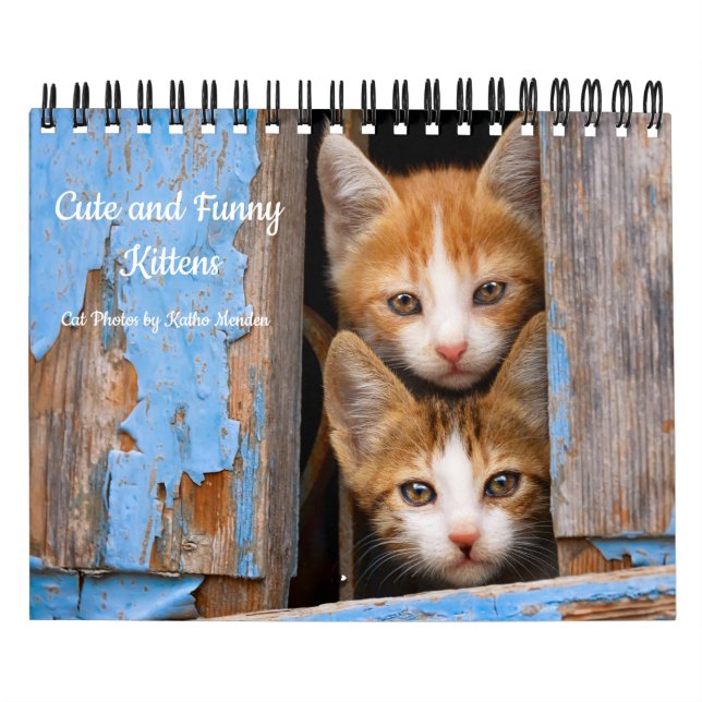 Calendario Foto de gatitos de gatitos de gatitos curos y dive (Tapa)