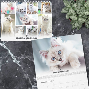 Calendario Foto de gato de mascota linda personalizada