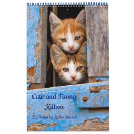 Calendario Foto de gatos de gatitos curos y divertidos