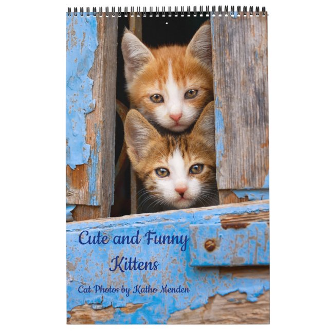 Calendario Foto de gatos de gatitos curos y divertidos (Tapa)