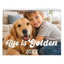 foto de Golden Retriever La vida es dorada 2027
