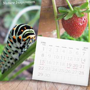Calendario Foto de la inspiración de la naturaleza