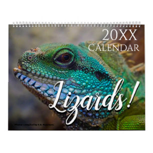 Calendario Foto de lagarto Naturaleza 2027 Pared 