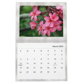 Calendario Foto de las flores tropicales de Plumeria