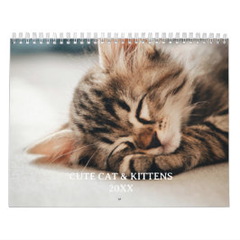 Calendario Foto de mascota de gatito y gato lindo