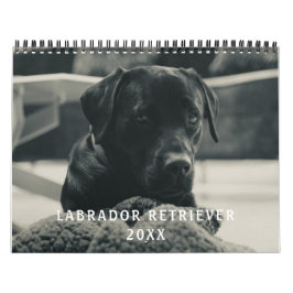 Calendario Foto de Mascota de perro recuperador de labrador n