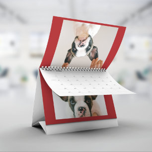 Calendario Foto de mascota roja personalizada