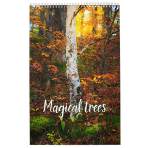 Calendario Foto de paisaje de árboles mágicos