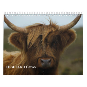 Calendario Foto de vaca de las Highlands querida de 2027