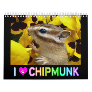 Calendario Foto del Chipmunk (3)