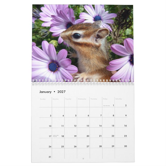 Calendario Foto del Chipmunk (3) (Jan 2027)