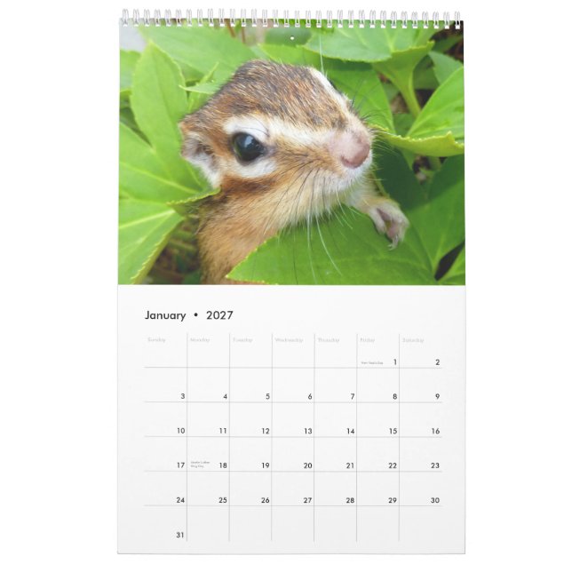 Calendario Foto del Chipmunk (4) (Jan 2027)