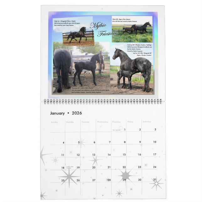 Calendario Foto enorme del caballo frisio (Jan 2026)