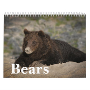 Calendario Foto icónica del oso grizzly de 2027