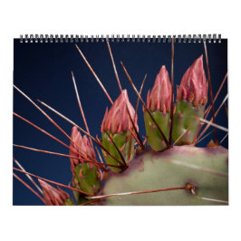 Calendario Fotografía Bella Artes de Cacti y Suculentos