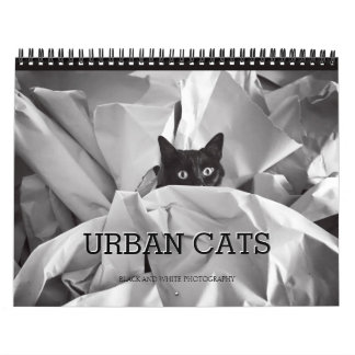 Calendario Fotografía blanco y negro de los gatos urbanos