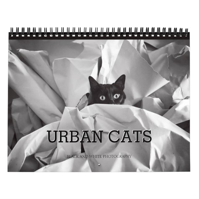 Calendario Fotografía blanco y negro de los gatos urbanos (Tapa)