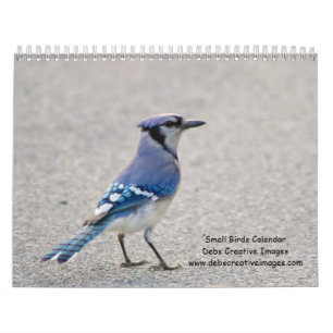 Calendario Fotografía de aves cantoras del Valle de Hudson 20