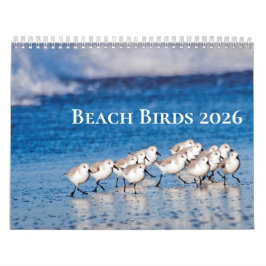 Calendario Fotografía de Aves de Playa
