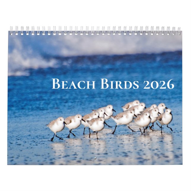 Calendario Fotografía de Aves de Playa (Tapa)