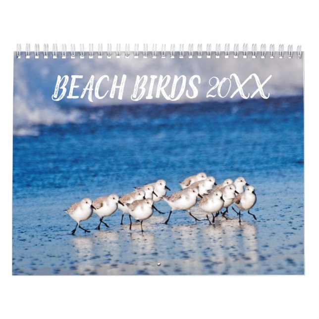 Calendario Fotografía de Aves de Playa (Tapa)