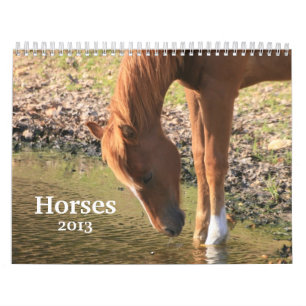 Calendario Fotografía de caballos
