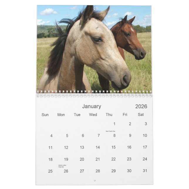 Calendario Fotografía de caballos (Jan 2026)