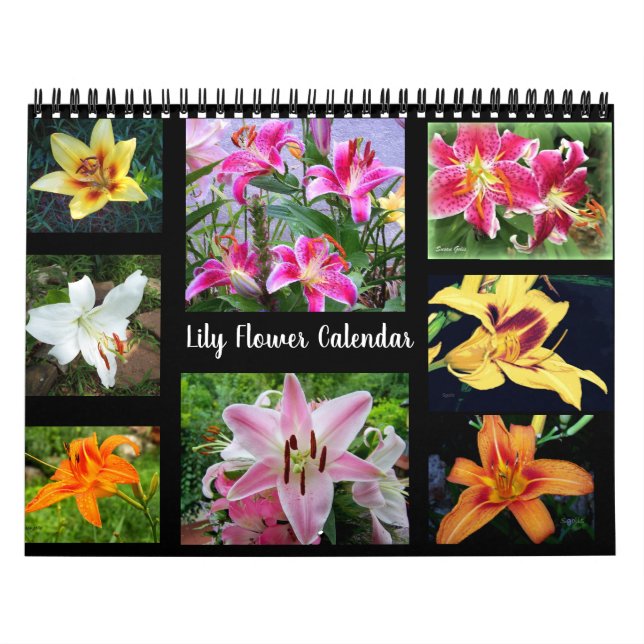 Calendario Fotografía de Flor de Lirio (Tapa)